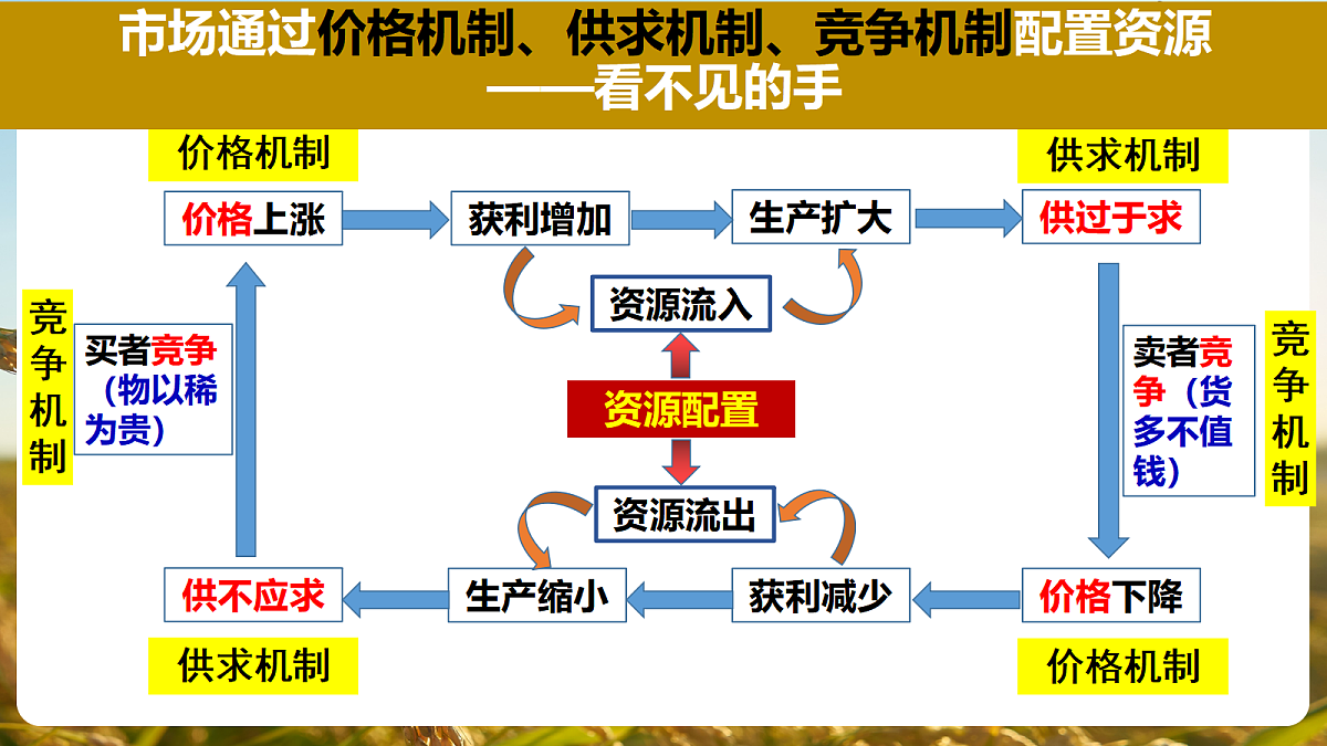 17496388第6页
