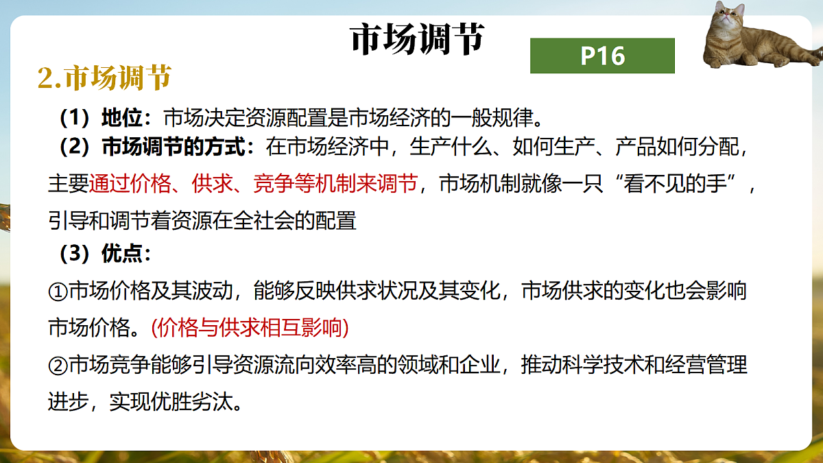 17496388第7页