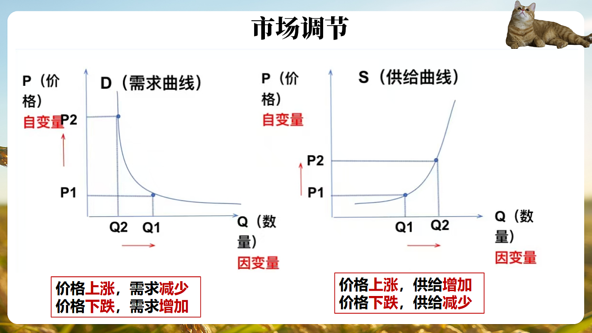 17496388第8页