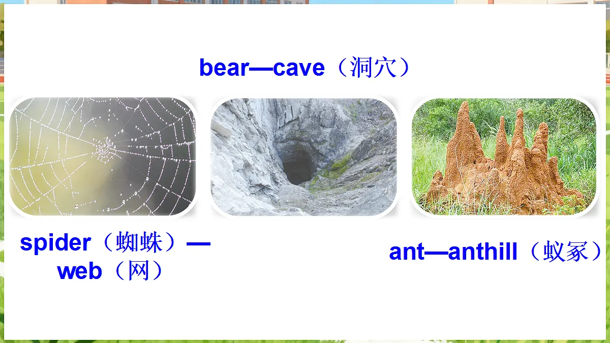 17496920第8页