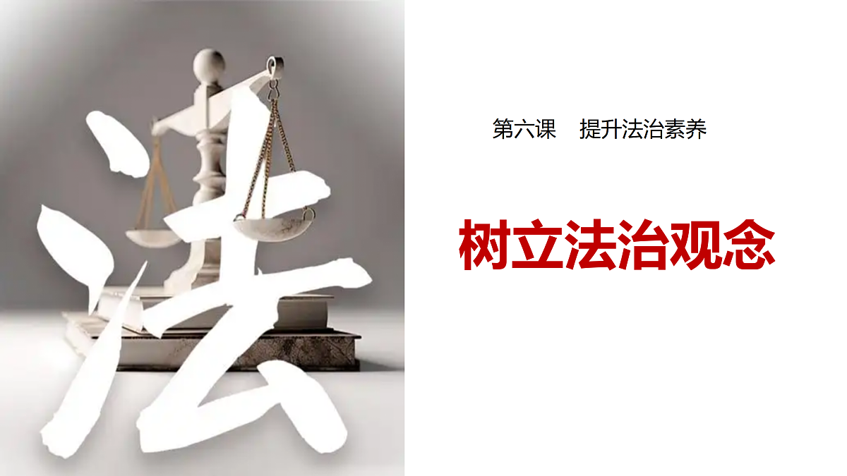 17497883第2页