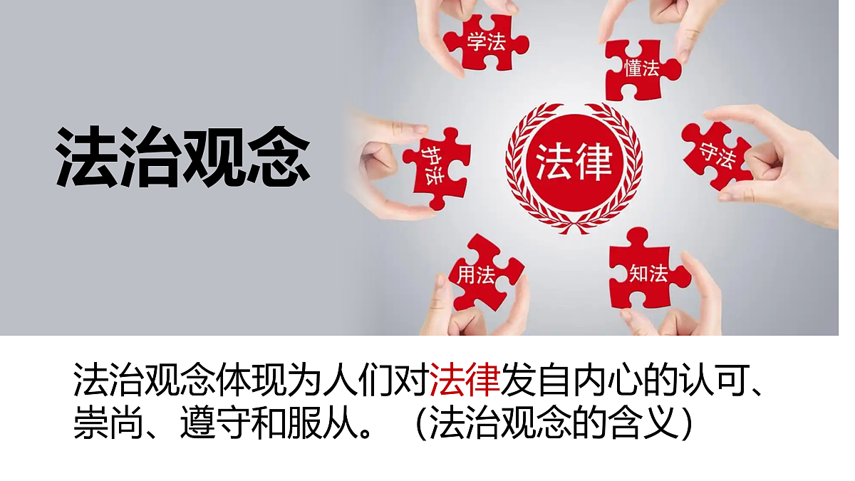 17497883第3页