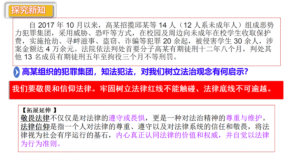 17497883第8页