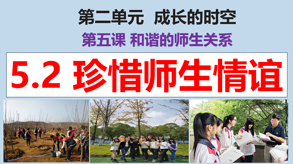 17497914第2页