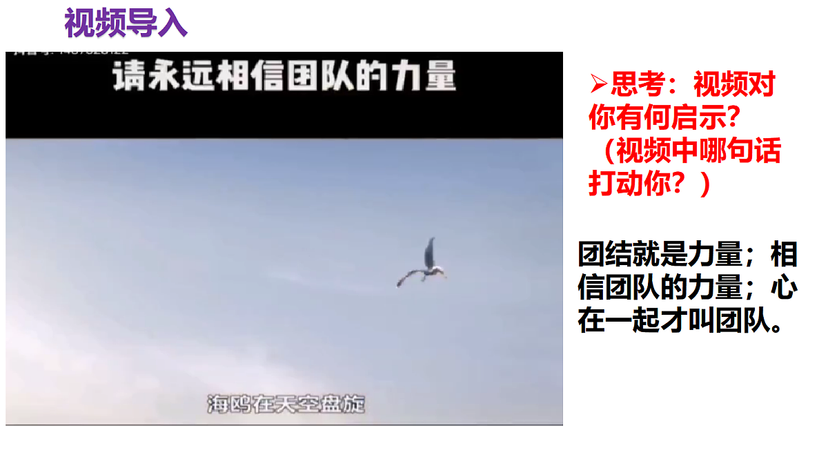 17497963第4页