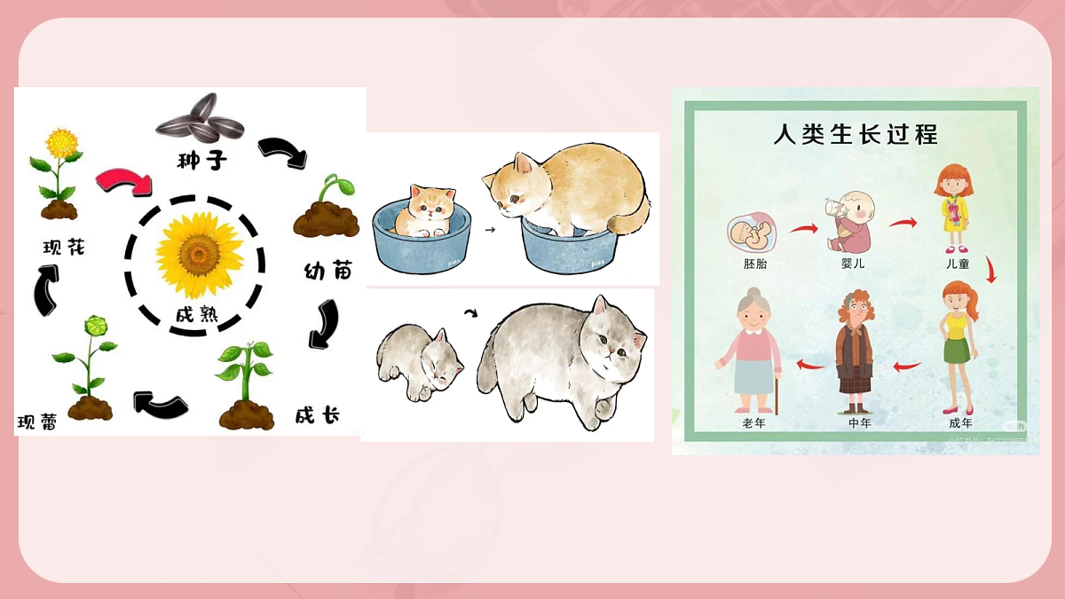 17497985第3页