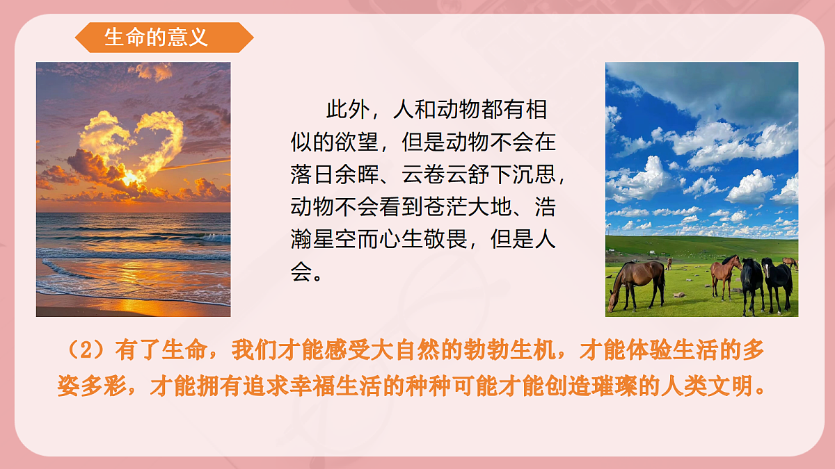 17497985第6页
