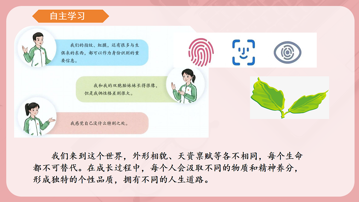 17497985第8页