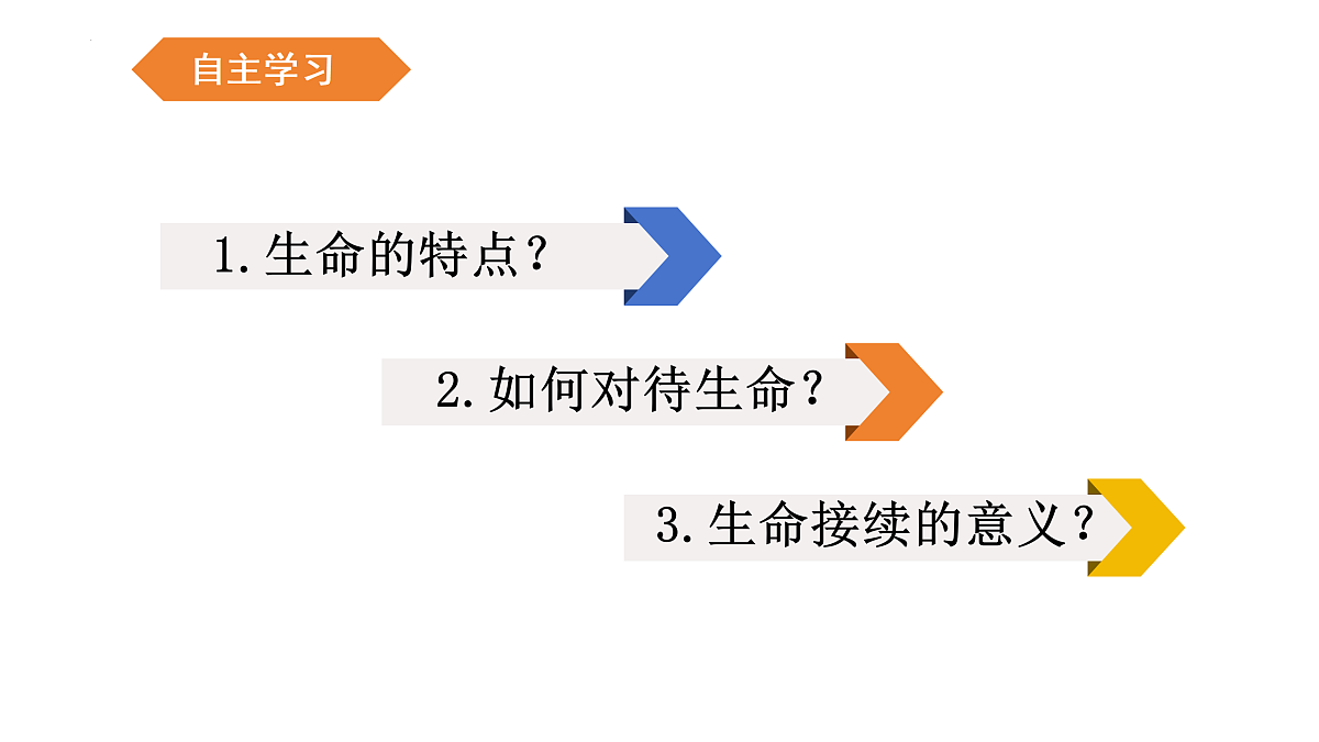 17497986第4页