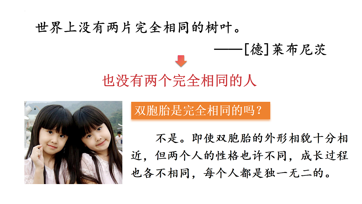 17497986第5页