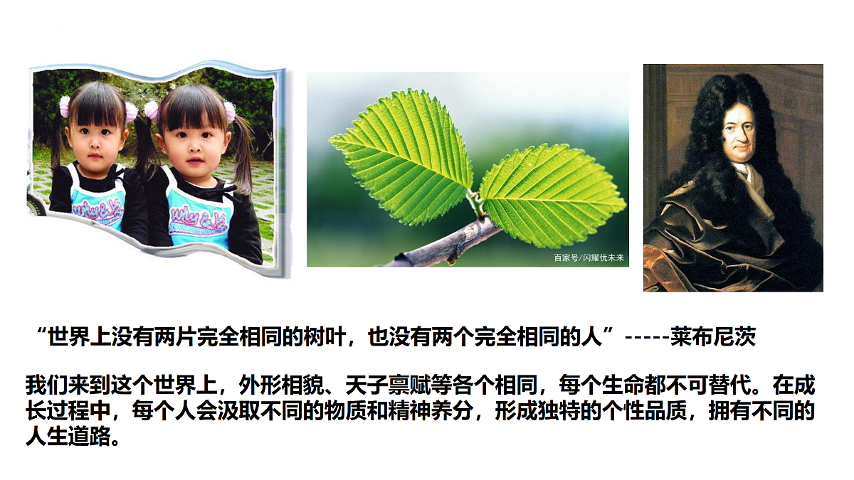 17497986第7页