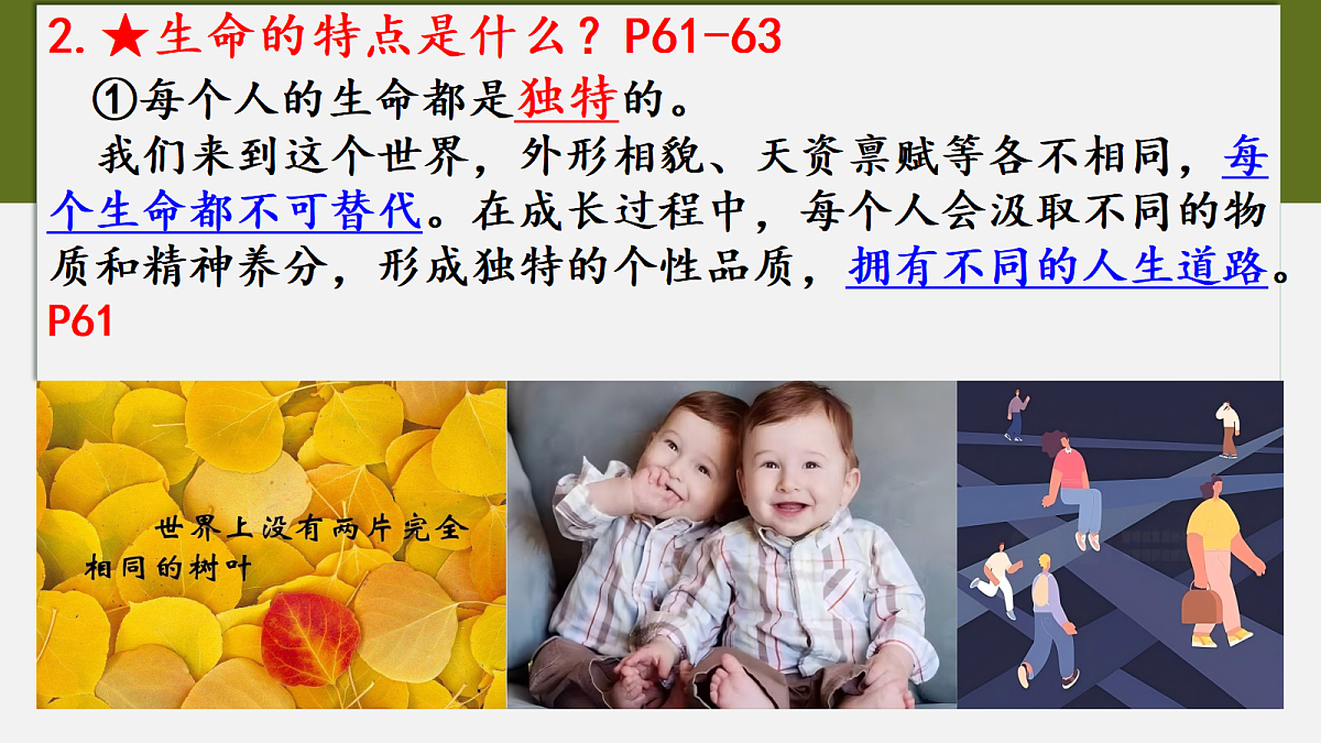 17497987第8页