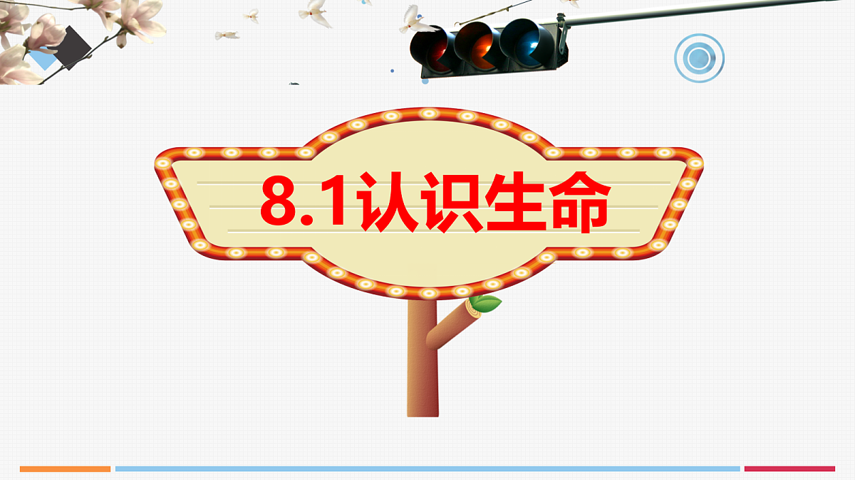 17497988第3页