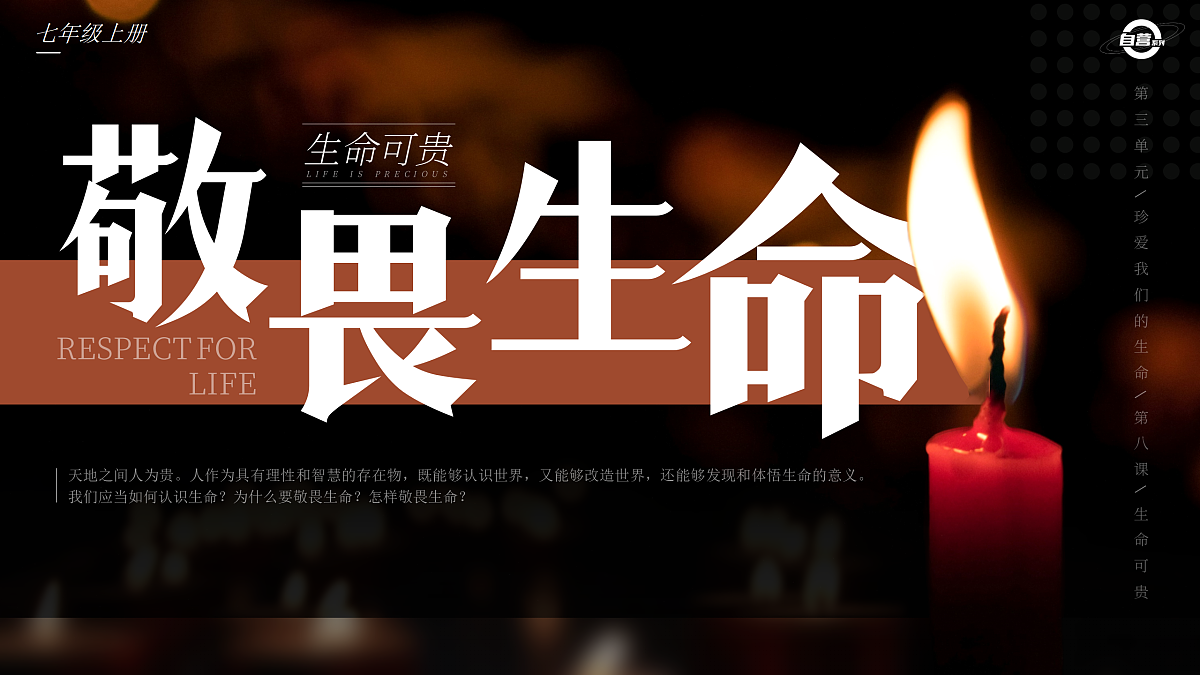 17497991第2页