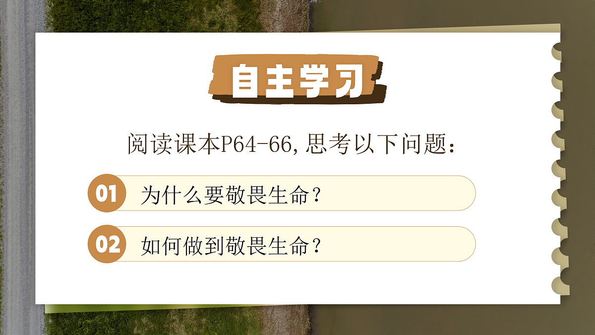 17497991第3页