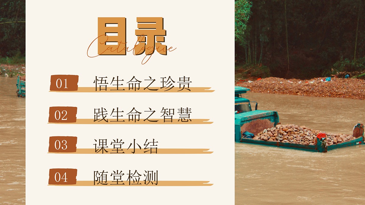 17497991第4页