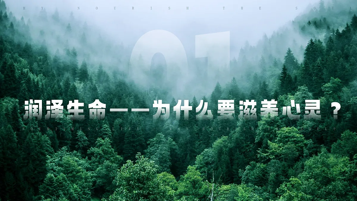 17497996第6页