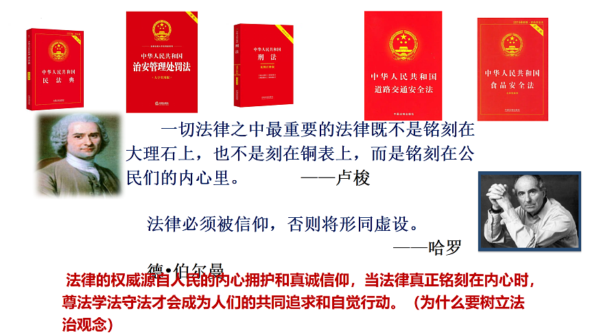 17498050第7页