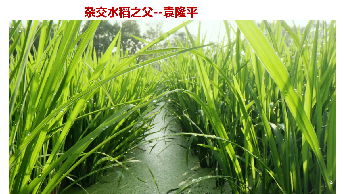17498058第3页