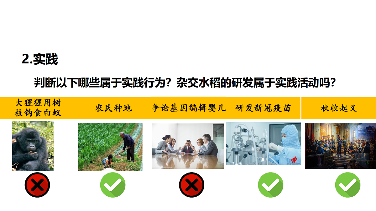 17498058第6页