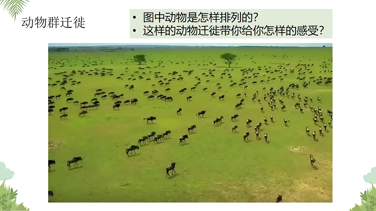 17498070第3页