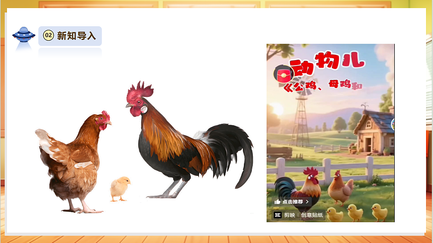 【教学评一体化】3.2《鸡与鸟类》课时课件第4页