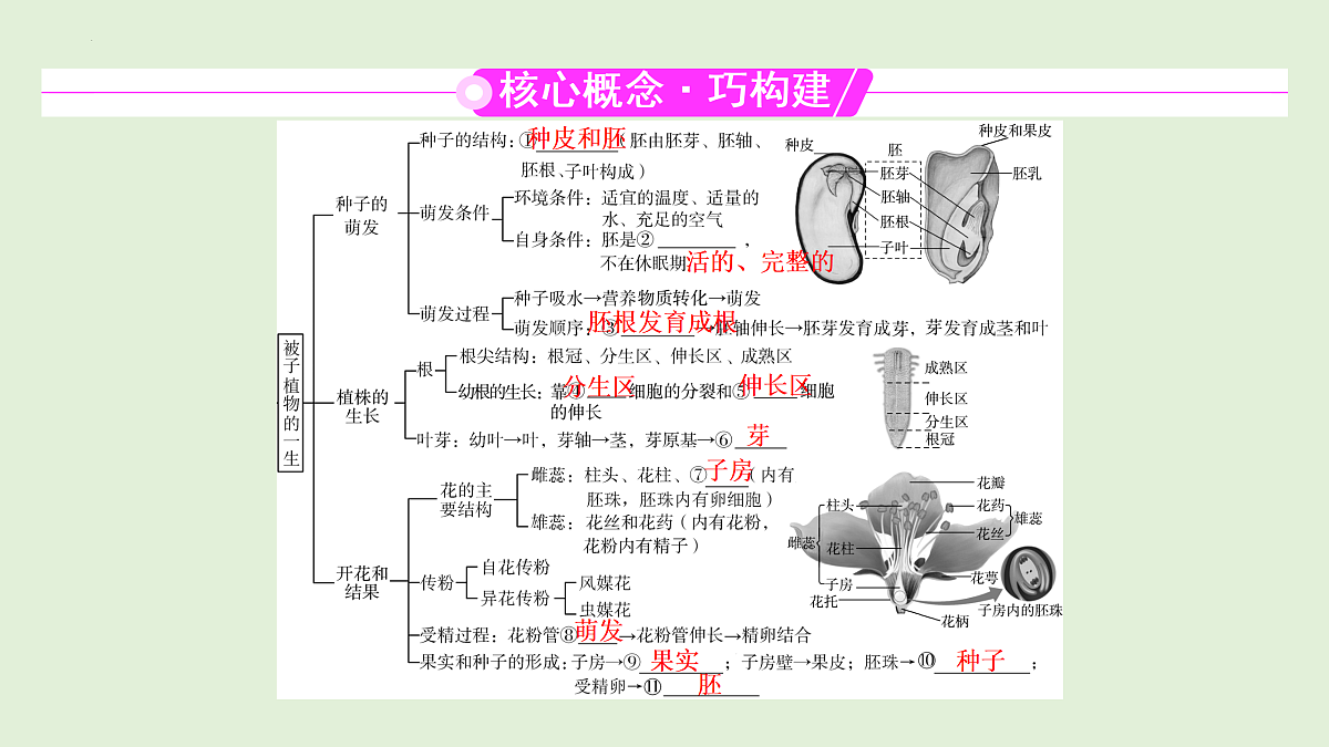 17498149第2页