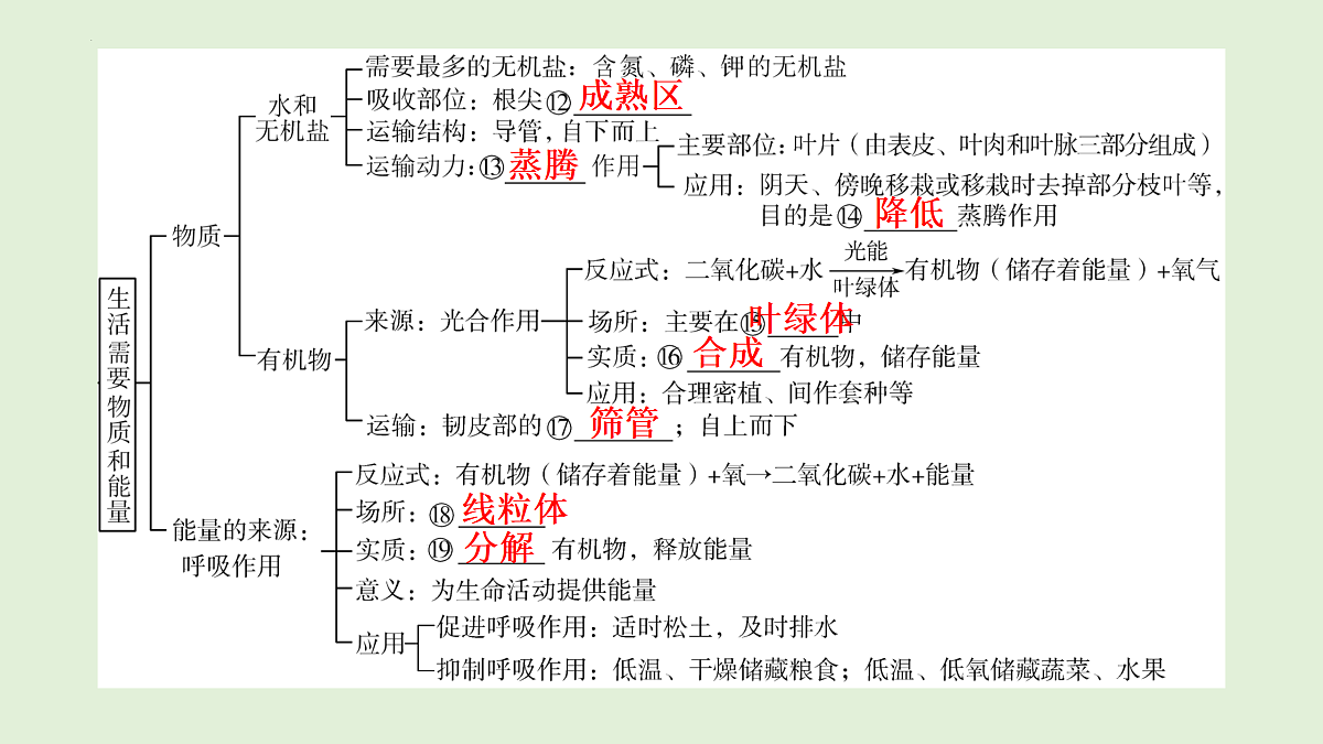 17498149第3页