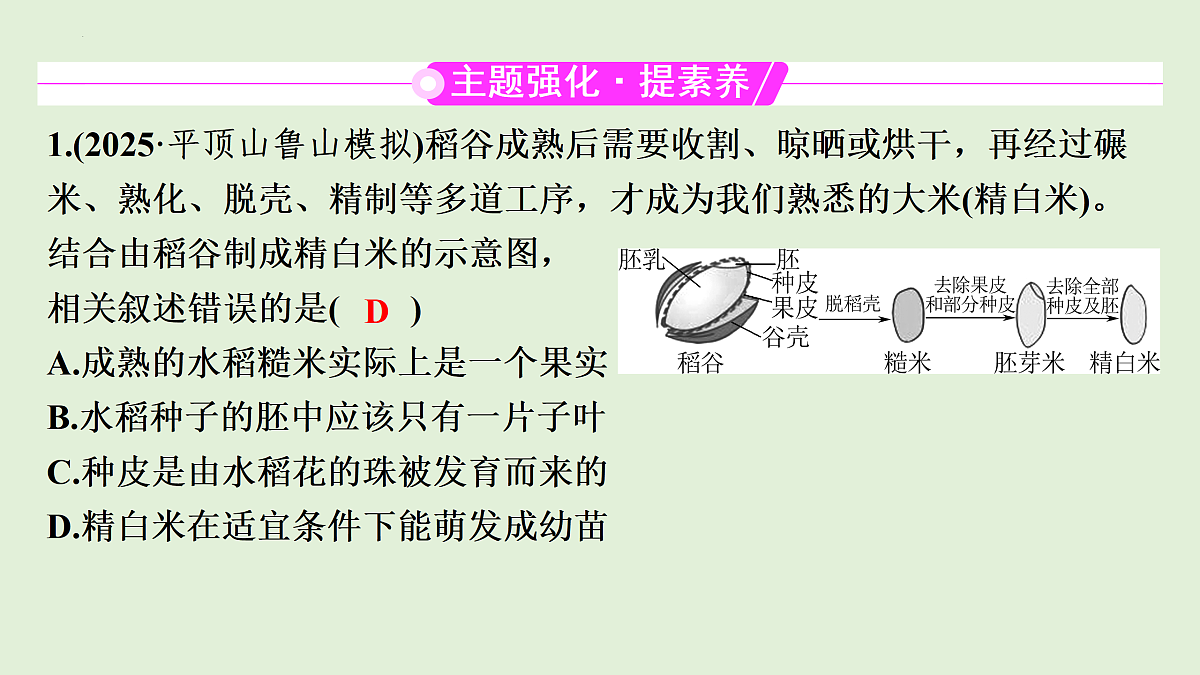 17498149第4页