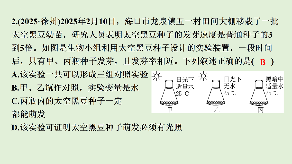 17498149第5页