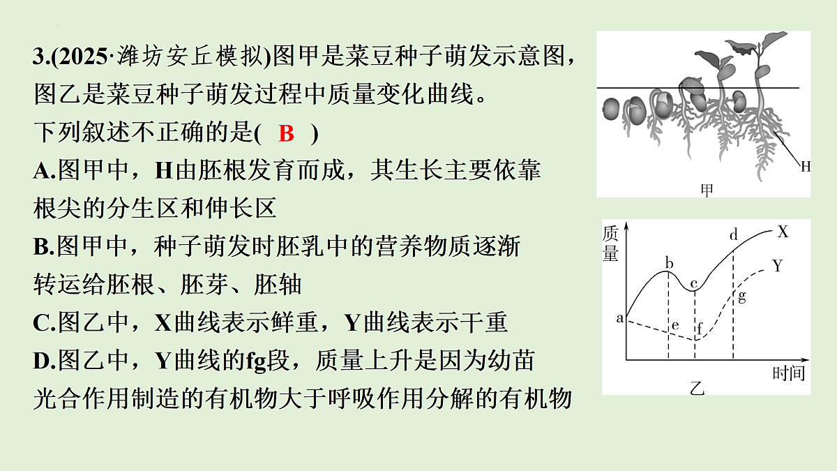 17498149第6页