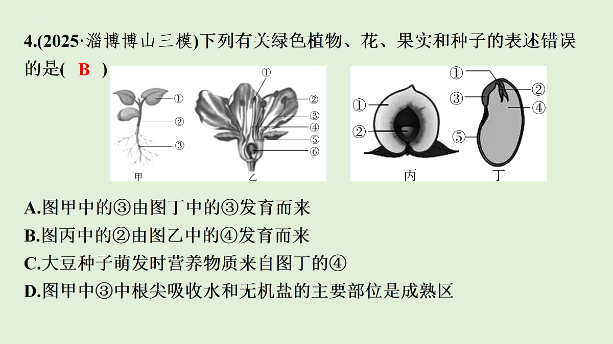 17498149第7页