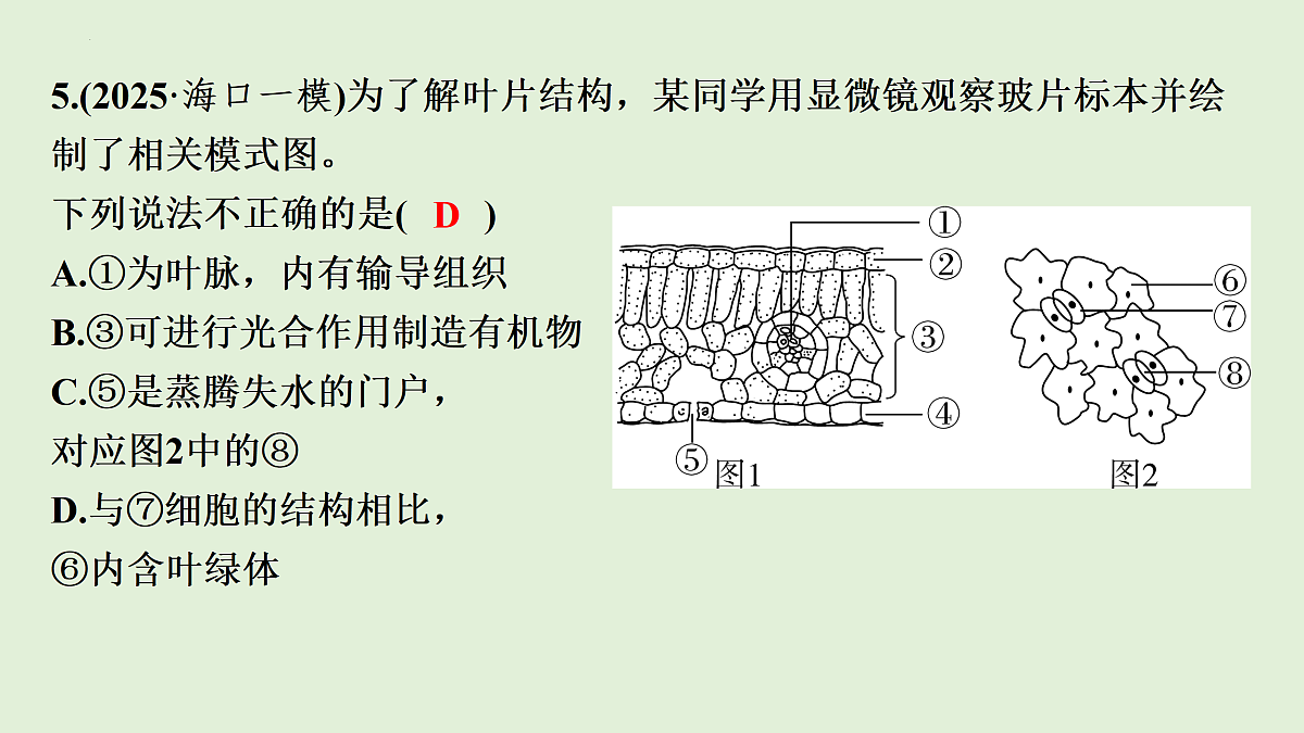 17498149第8页