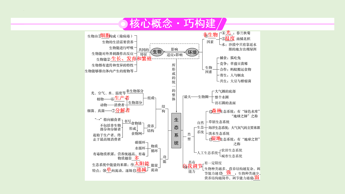 17498151第2页