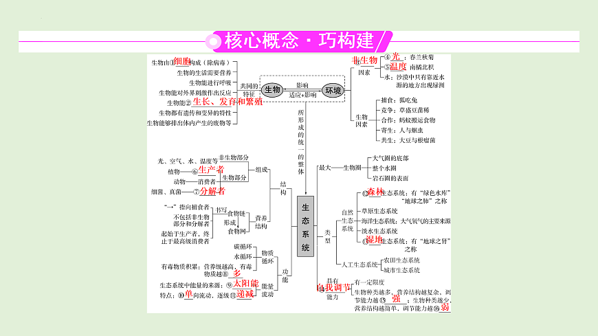 17498151第2页