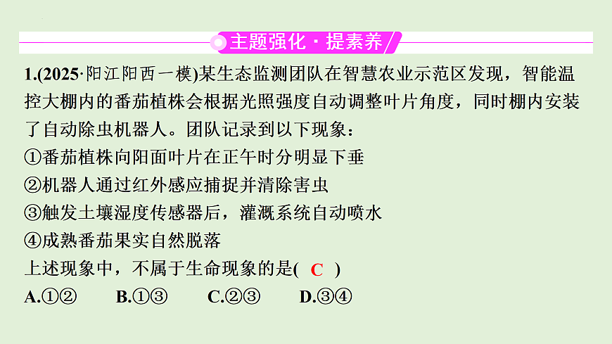 17498151第3页