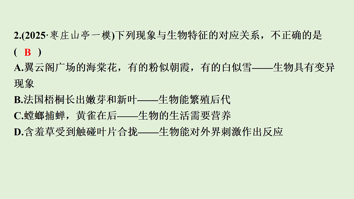 17498151第4页