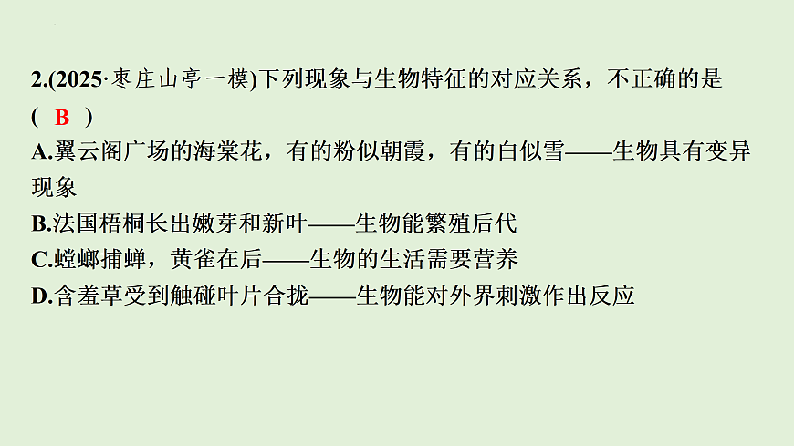 17498151第4页