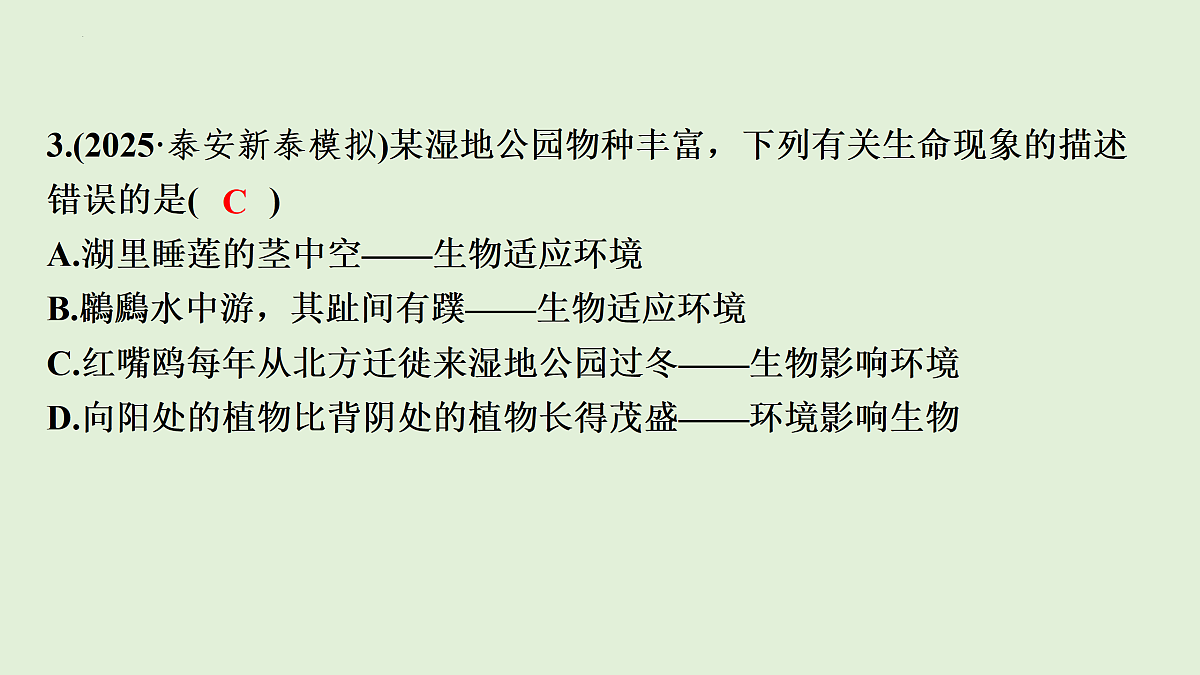17498151第5页