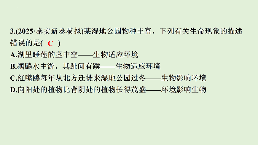 17498151第5页