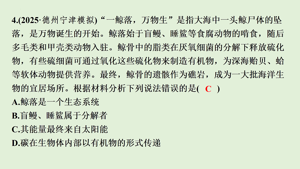 17498151第6页