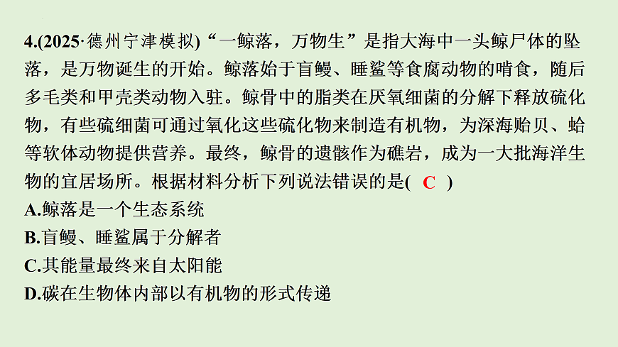 17498151第6页