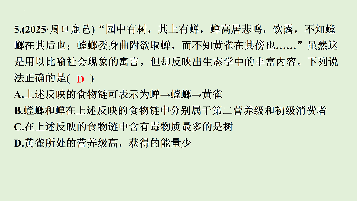 17498151第7页