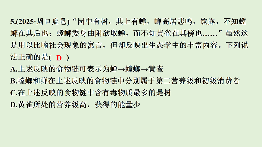 17498151第7页