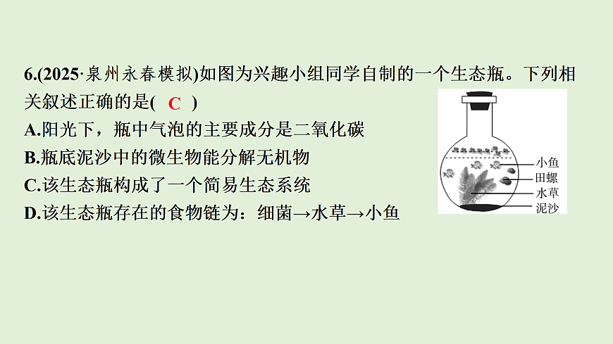17498151第8页
