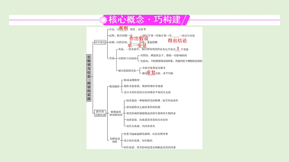 17498155第2页