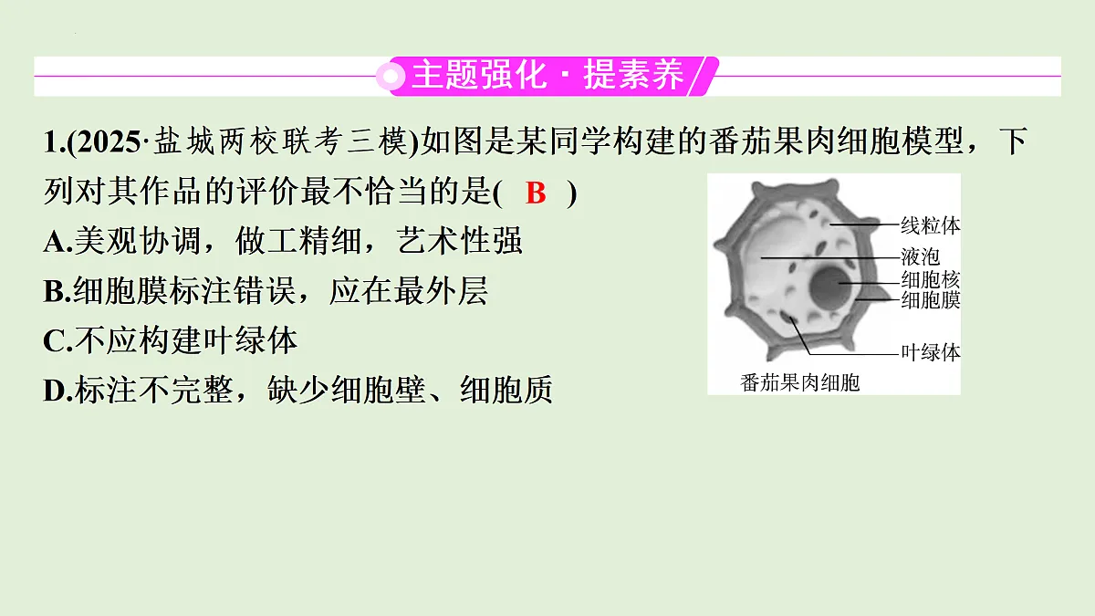 17498155第3页