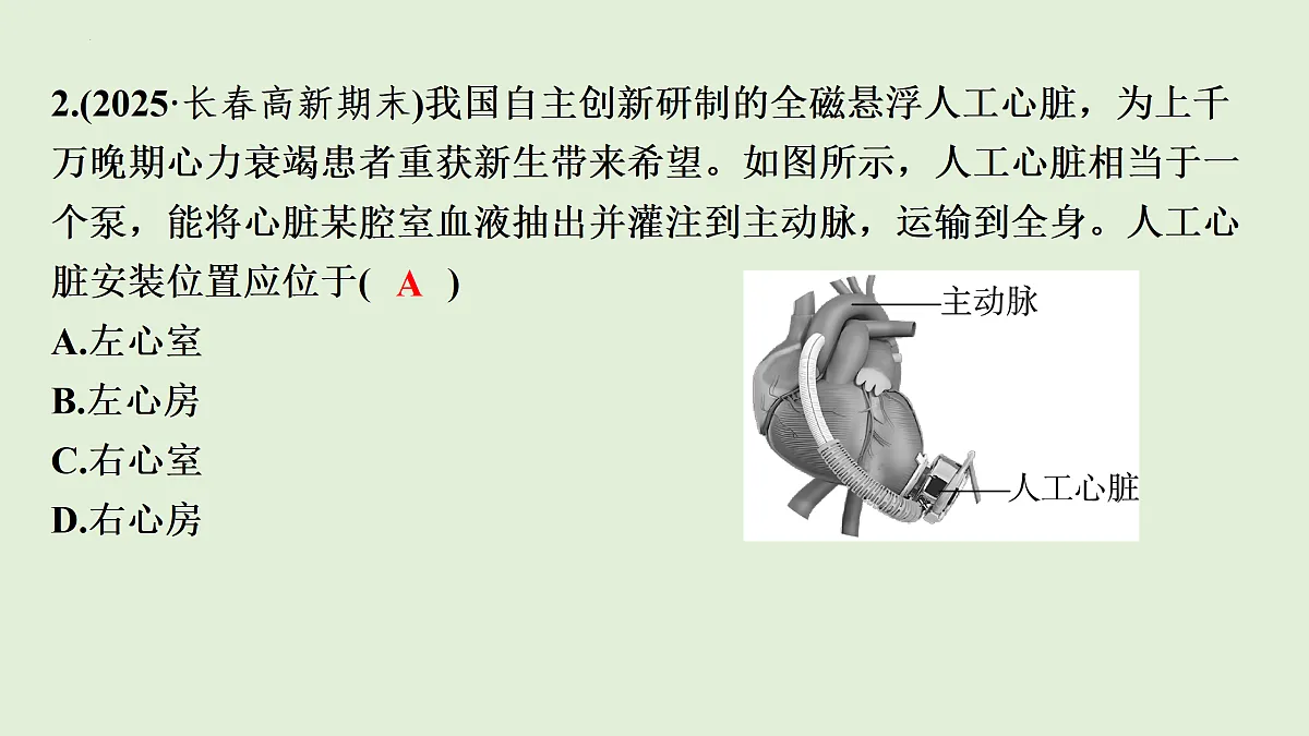 17498155第4页