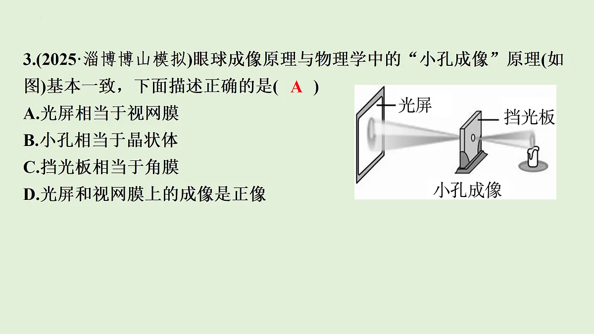 17498155第5页