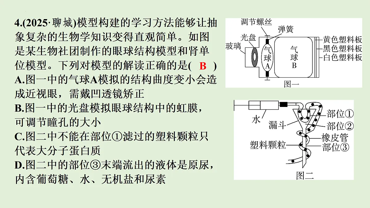 17498155第6页